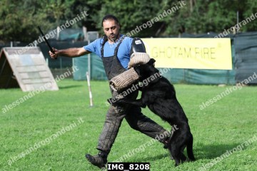 IMG_8208.jpg