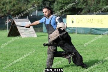 IMG_8210.jpg