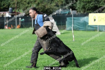 IMG_8216.jpg