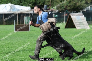 IMG_8222.jpg