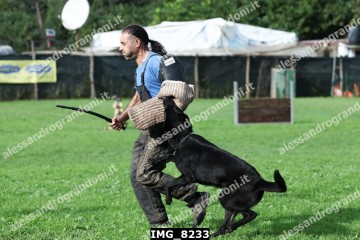 IMG_8233.jpg