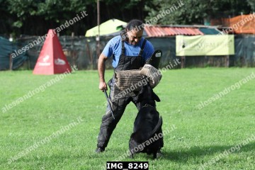 IMG_8249.jpg