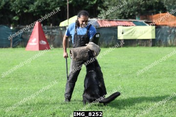 IMG_8252.jpg