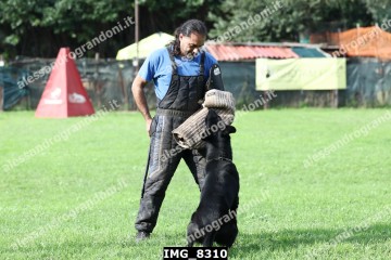 IMG_8310.jpg