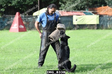 IMG_8338.jpg