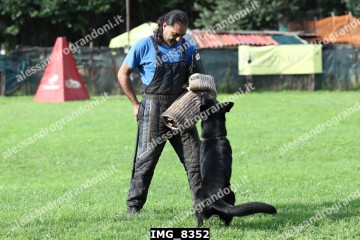 IMG_8352.jpg