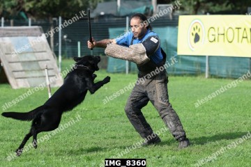 IMG_8360.jpg