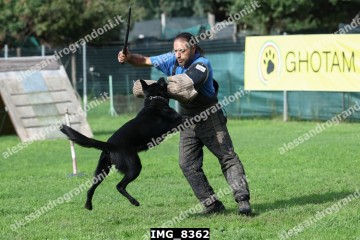 IMG_8362.jpg