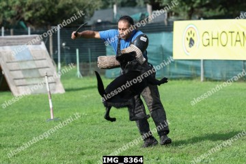 IMG_8364.jpg