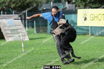IMG_8366.jpg