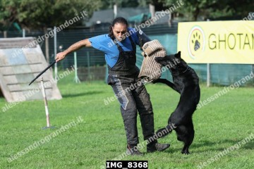 IMG_8368.jpg