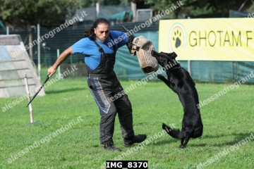 IMG_8370.jpg