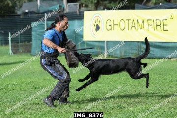 IMG_8376.jpg