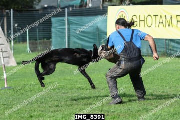 IMG_8391.jpg