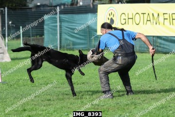 IMG_8393.jpg