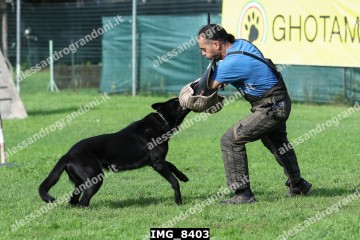 IMG_8403.jpg