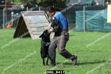 IMG_8417.jpg