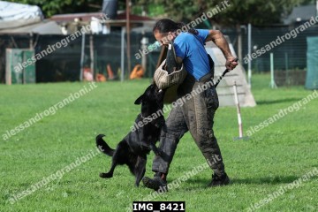 IMG_8421.jpg