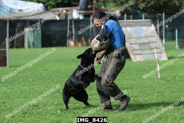 IMG_8426.jpg