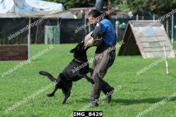 IMG_8429.jpg