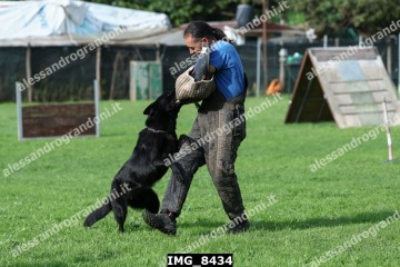 IMG_8434.jpg