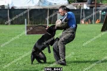IMG_8442.jpg