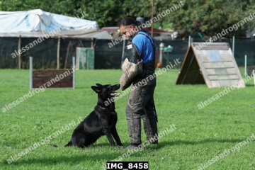 IMG_8458.jpg