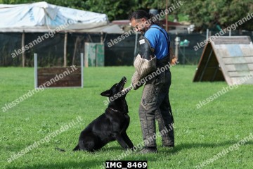 IMG_8469.jpg