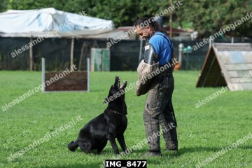 IMG_8477.jpg