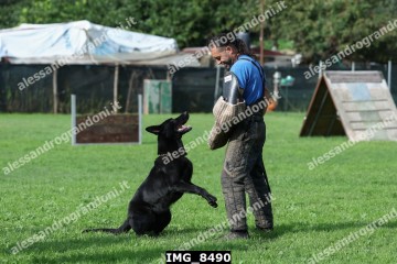 IMG_8490.jpg