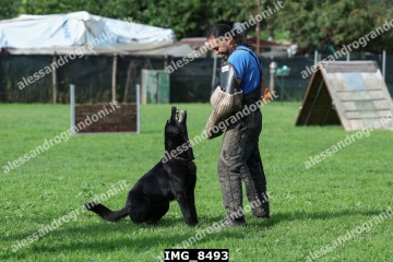 IMG_8493.jpg