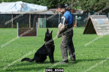 IMG_8506.jpg