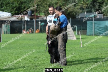 IMG_8513.jpg