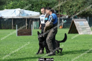 IMG_8534.jpg
