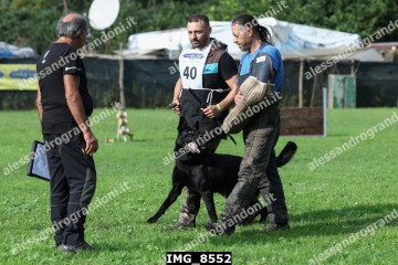 IMG_8552.jpg
