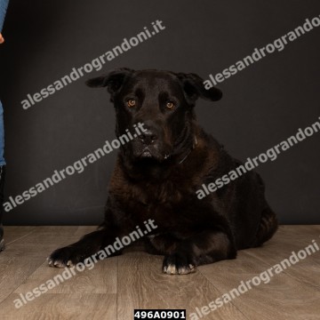 496A0901.jpg