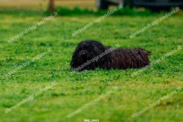 IMG_0002.jpg