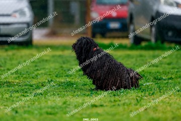 IMG_0003.jpg