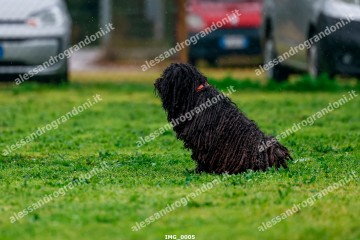 IMG_0005.jpg