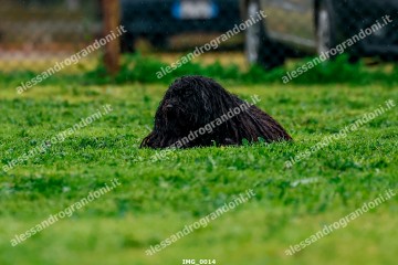 IMG_0014.jpg