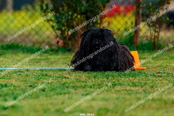 IMG_0031.jpg
