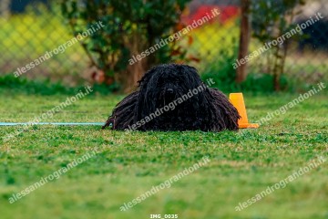IMG_0035.jpg