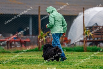 IMG_0108.jpg