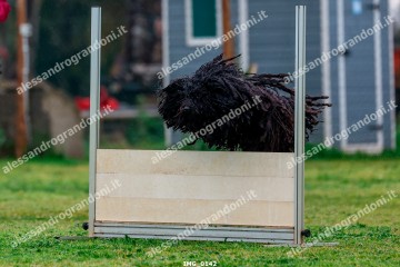 IMG_0142.jpg