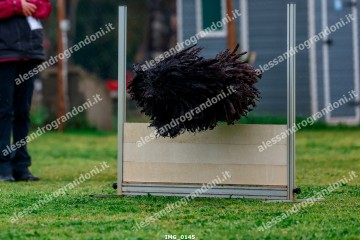 IMG_0145.jpg