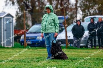 IMG_0181.jpg