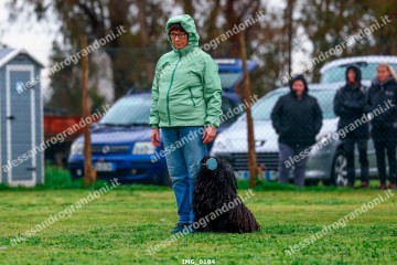 IMG_0184.jpg