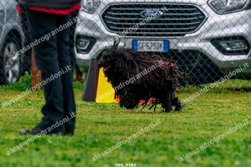 IMG_0193.jpg