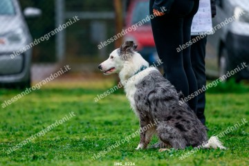 IMG_0224.jpg