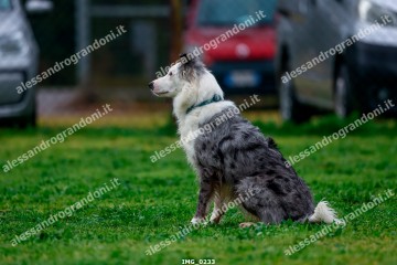 IMG_0233.jpg